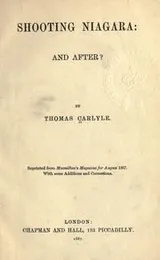 Cover of Shooting Niagara