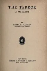 Cover of The Terror