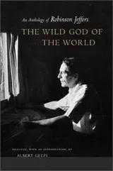Cover of The wild god of the world