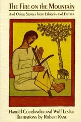 Cover of The fire on the mountain, and other stories from Ethiopia and Eritrea