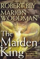 Cover of The maiden king