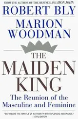 Cover of Maiden King
