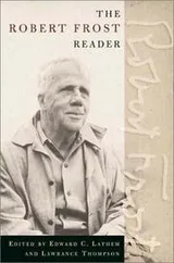Cover of The Robert Frost reader