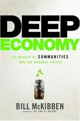 Cover of Deep Economy