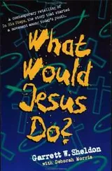 Cover of What would Jesus do?