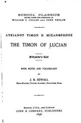 Cover of The Timon of Lucian