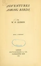 Cover of Adventures among birds