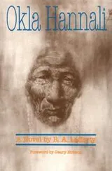 Cover of Okla Hannali