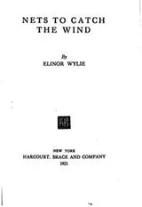 Cover of Nets to catch the wind