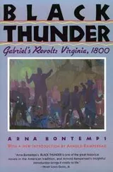 Cover of Black thunder