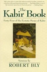 Cover of The Kabir Book