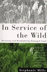 Cover of In Service of the Wild