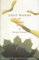 Cover of Lost woods