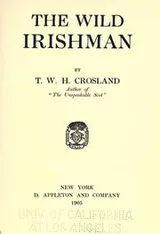 Cover of The wild Irishman