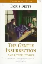 Cover of The gentle insurrection and other stories