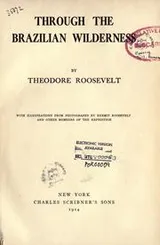 Cover of Through the Brazilian wilderness