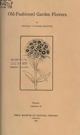 Cover of Old-fashioned garden flowers