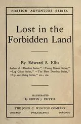 Cover of Lost in the forbidden land
