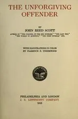 Cover of The unforgiving offender