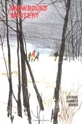 Cover of Snowbound Mystery