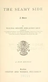 Cover of The seamy side