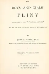 Cover of The boys' and girls' Pliny