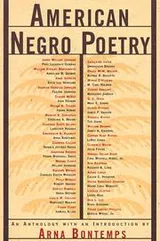 Cover of American Negro poetry