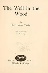 Cover of The well in the wood