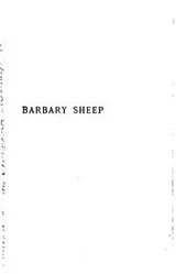 Cover of Barbary sheep