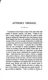 Cover of The perfect horse