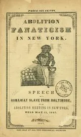 Cover of Abolition fanaticism in New York