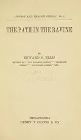 Cover of The path in the ravine