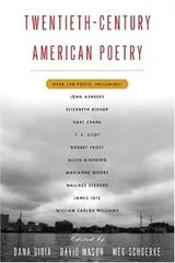 Cover of Twentieth Century American Poetry