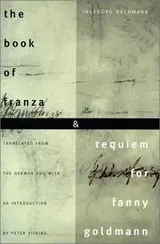 Cover of The book of Franza & Requiem for Fanny Goldmann