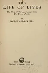 Cover of The life of lives