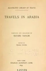 Cover of Travels in Arabia