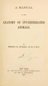 Cover of A manual of the anatomy of invertebrated animals