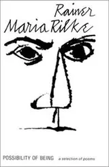 Cover of Possibility of being