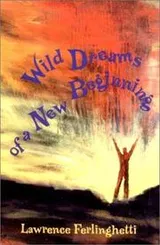 Cover of Wild dreams of a new beginning