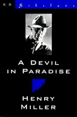 Cover of A devil in paradise