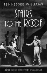 Cover of Stairs to the roof