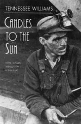 Cover of Candles to the sun
