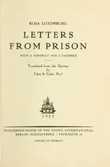 Cover of Letters from prison