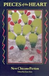 Cover of Pieces of the Heart