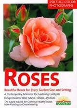 Cover of Roses