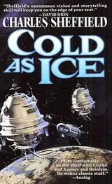 Cover of Cold As Ice