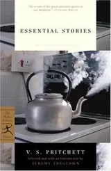 Cover of Essential stories