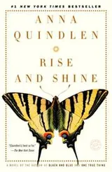 Cover of Rise and Shine