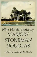 Cover of Nine Florida stories