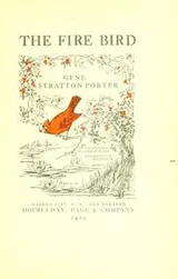 Cover of The fire bird